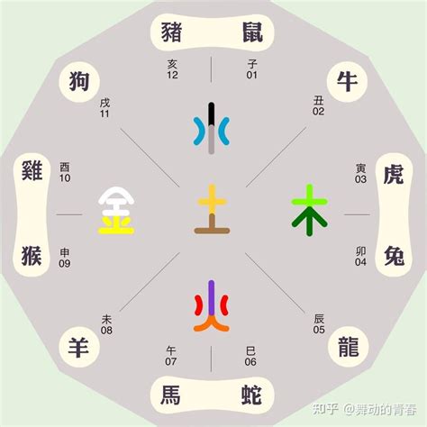 屬金的生肖|五行屬金的生肖有哪些